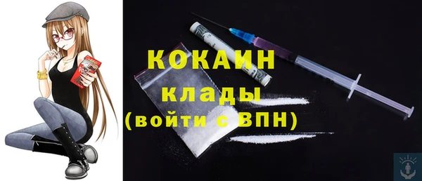 твердый Новокубанск