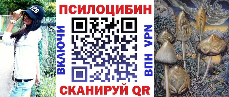 что такое Кувандык Галлюциногенные грибы Cubensis