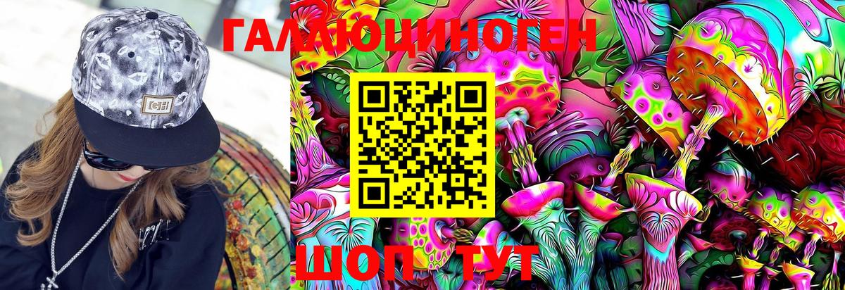 Галлюциногенные грибы Psilocybe  Вход с VPN  Кувандык  Галлюциногенные грибы Magic Shrooms 