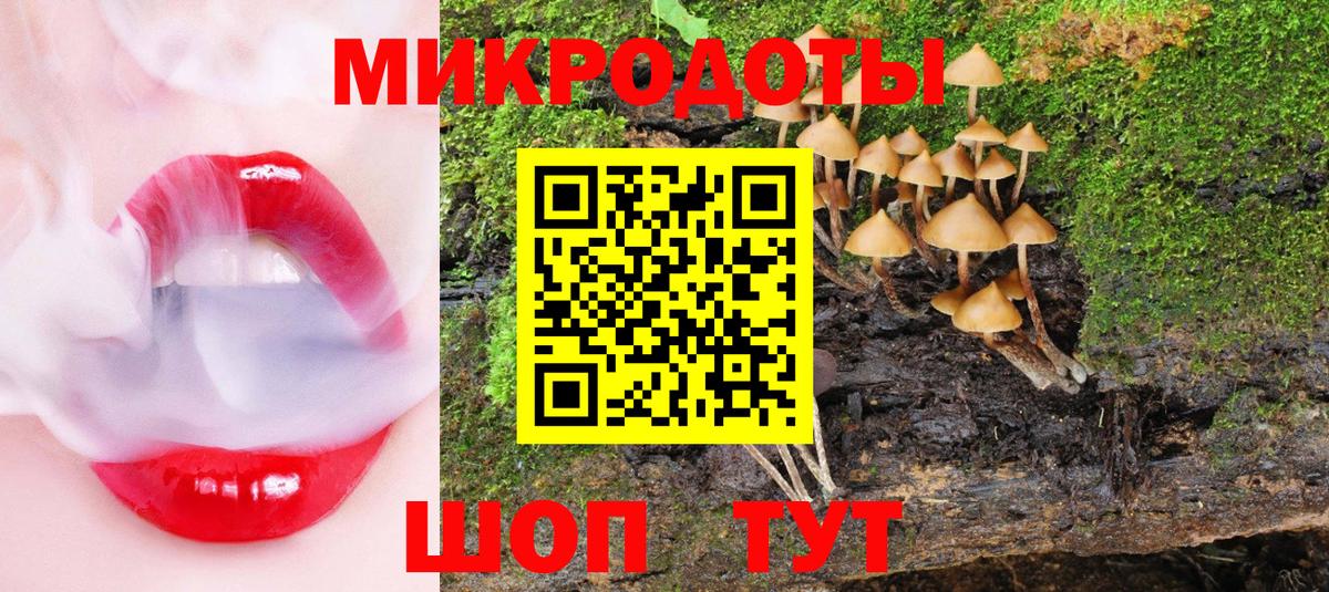 где продают наркотики  Кувандык  Псилоцибиновые грибы Psilocybe 