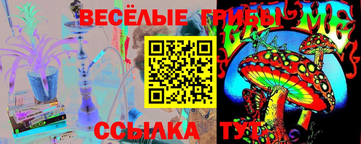 Псилоцибиновые грибы Magic Shrooms Кувандык