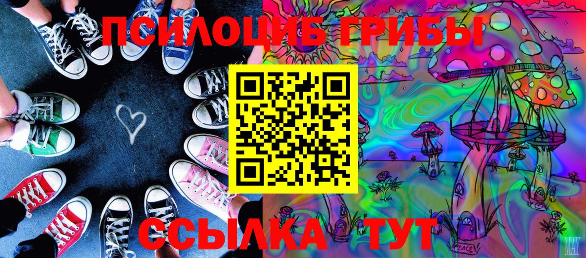 Галлюциногенные грибы Psilocybe Кувандык